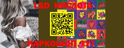 ECSTASY Канаш