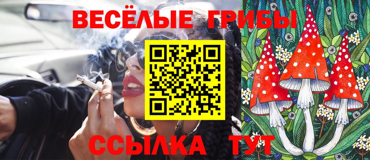 Кунгур  Галлюциногенные грибы мухоморы  купить наркотик  Галлюциногенные грибы Magic Shrooms  Вход с VPN 